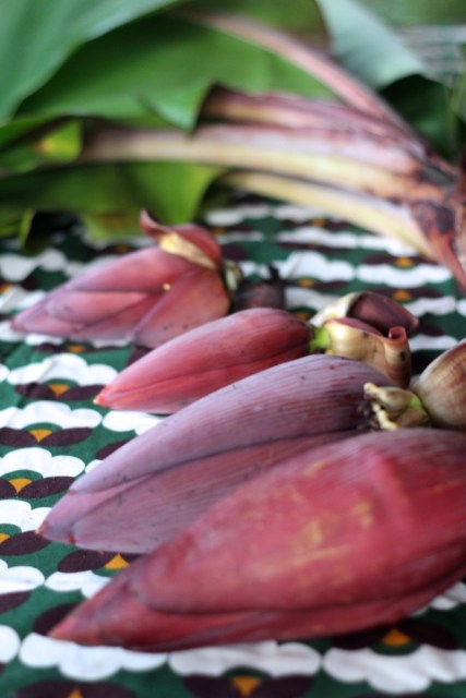 banana flower