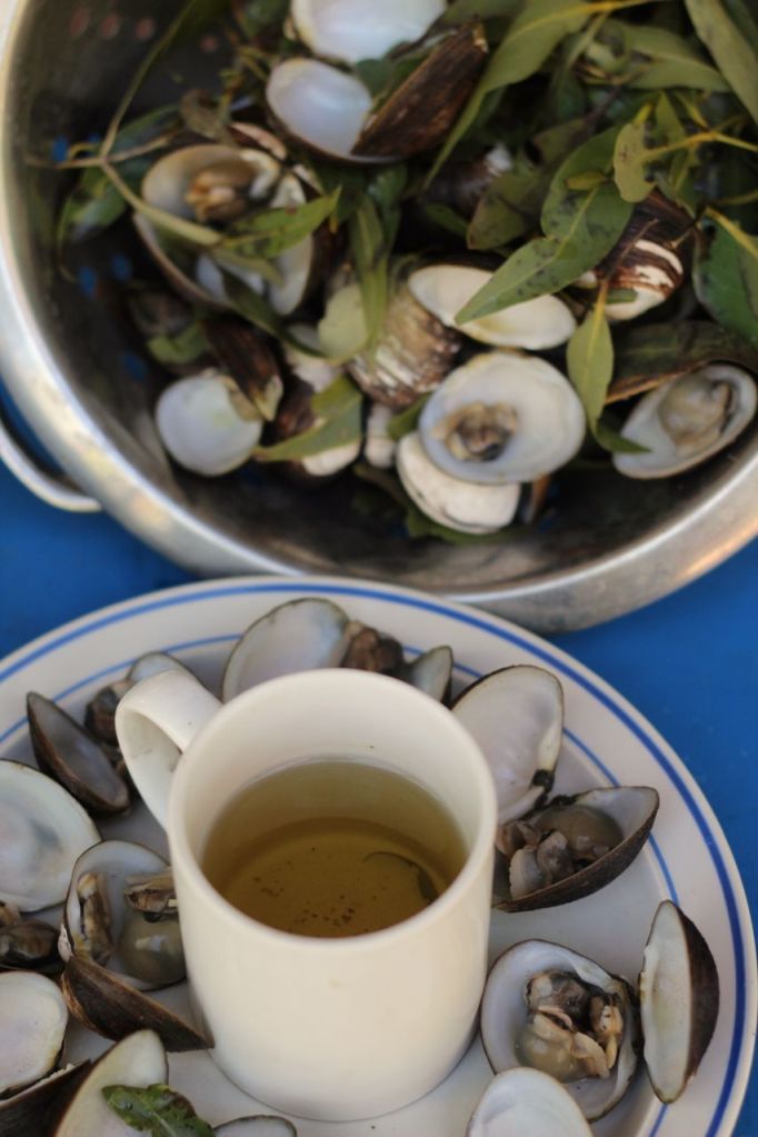 Mussel broth best