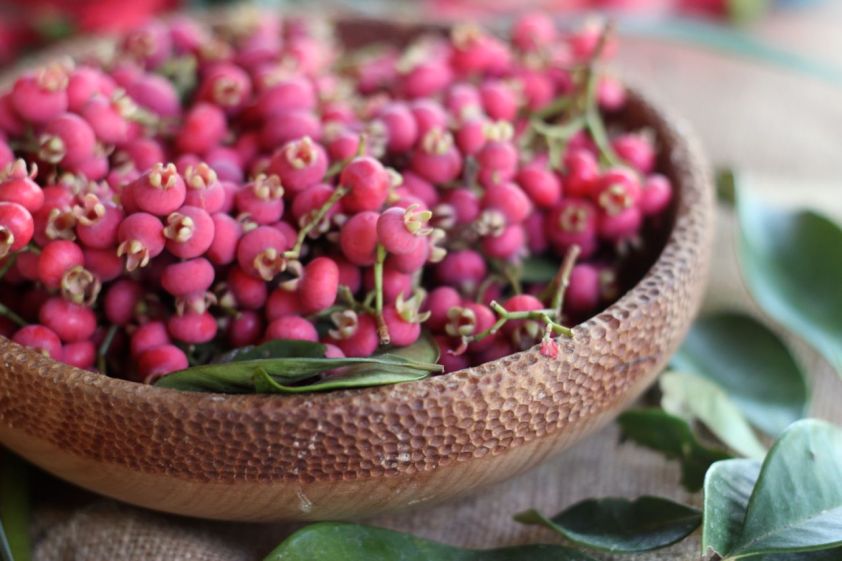 Syzygium fibrosum bowl