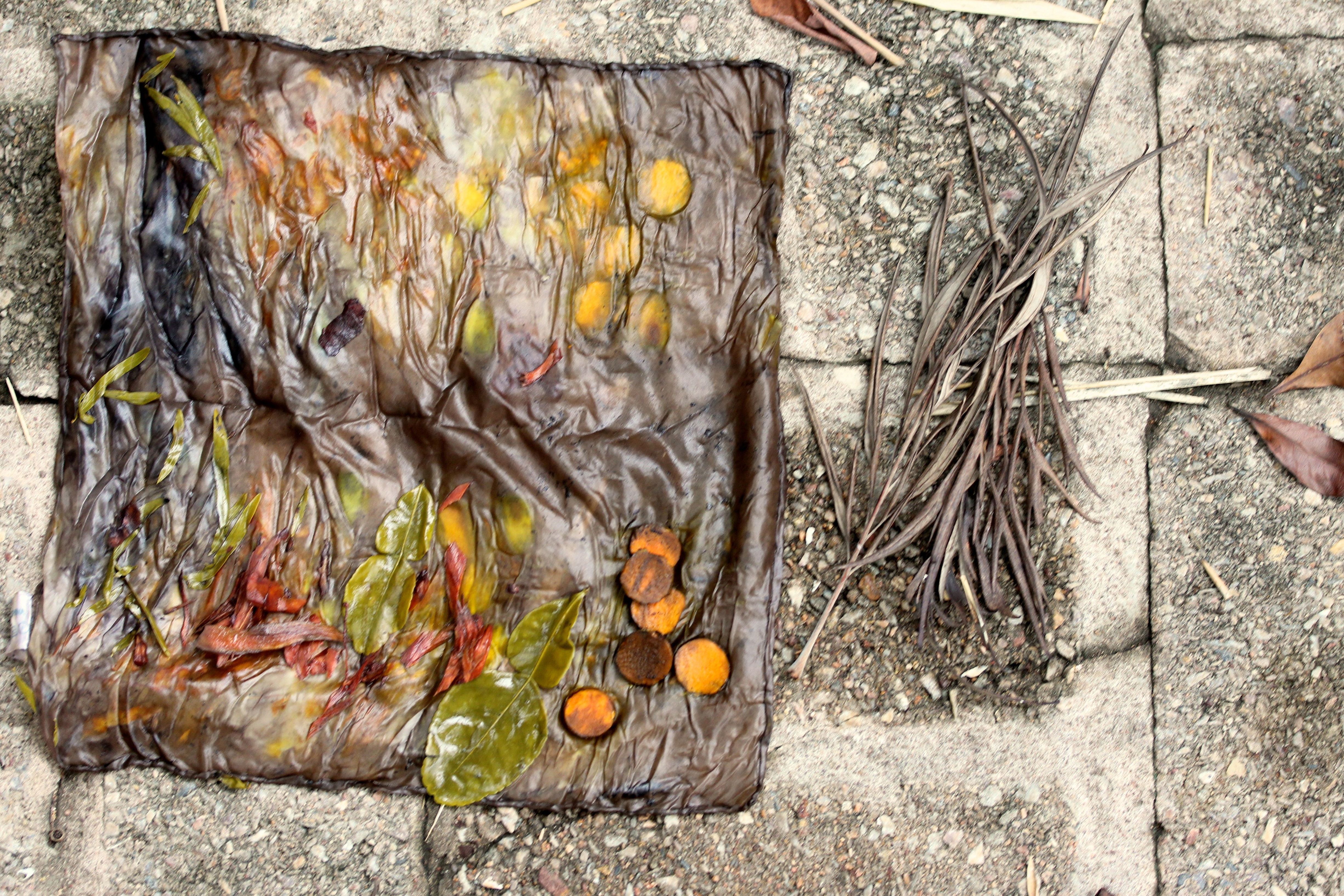 square colours landscape.jpg