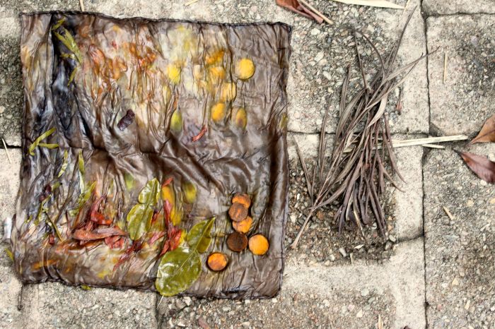 square colours landscape.jpg