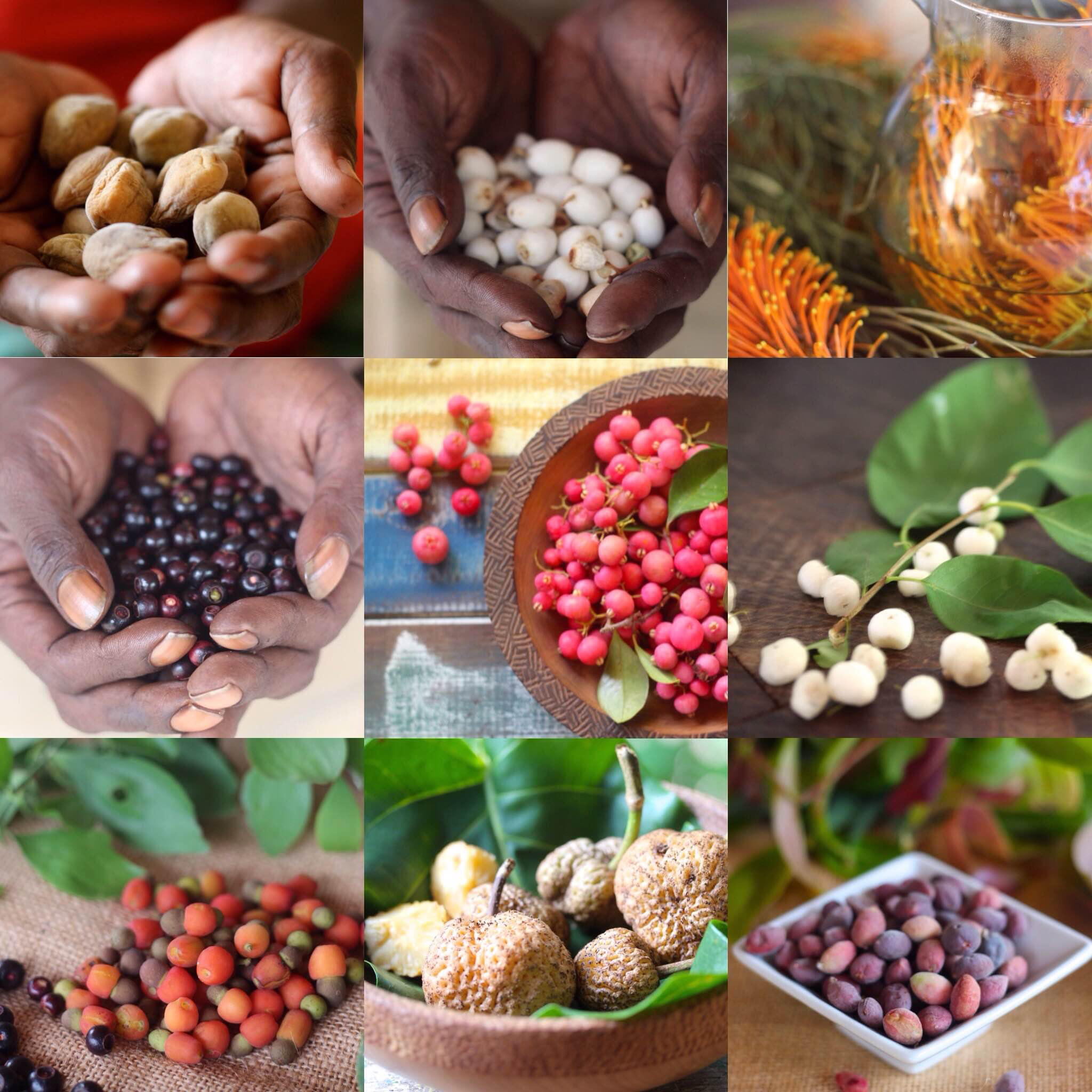 Busher tucker tiles 1